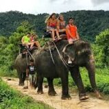 Прогулка на слонах (Elephant trekking) на Самуи Таиланд