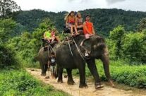 Прогулка на слонах (Elephant trekking) на Самуи Таиланд
